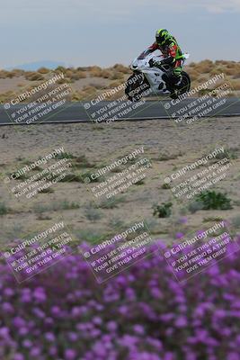 media/Jan-14-2023-SoCal Trackdays (Sat) [[497694156f]]/Turn 14 Exit Bloomig (145pm)/